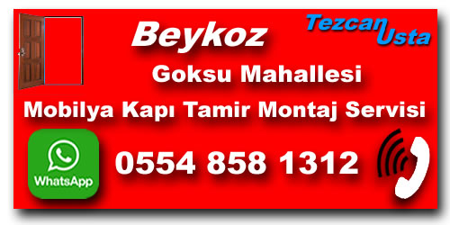 Goksu Mobilya Kapı Tamiri