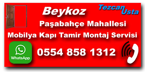 Paşabahçe Mobilya Kapı Tamiri