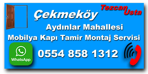 Aydınlar Mahallesi Oda Kapı Tamiri Aydınlar Mahallesi Mobilya Kapı Tamiri
