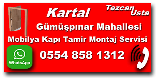 Gümüşpınar Mahallesi Mobilya Kapı Tamiri