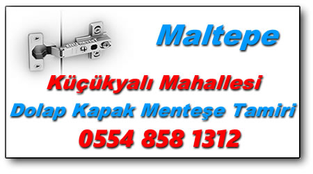 Küçükyalı Mahallesi Dolap Kapak Menteşe Tamiri
