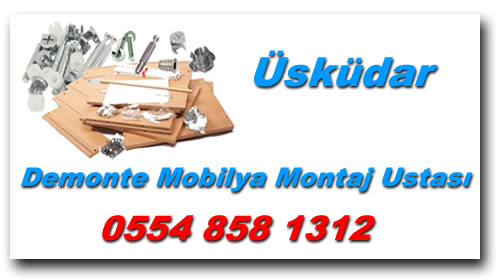 Üsküdar Demonte Mobilya Montaj